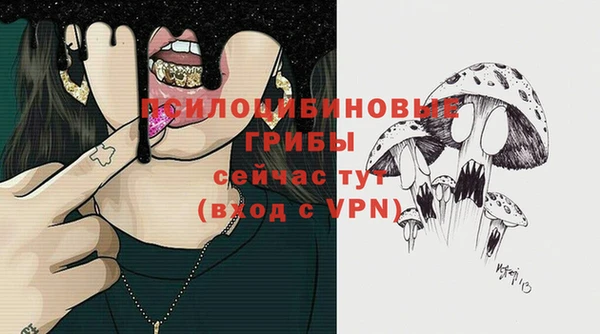 ПСИЛОЦИБИНОВЫЕ ГРИБЫ Балахна