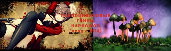 экстази Арсеньев
